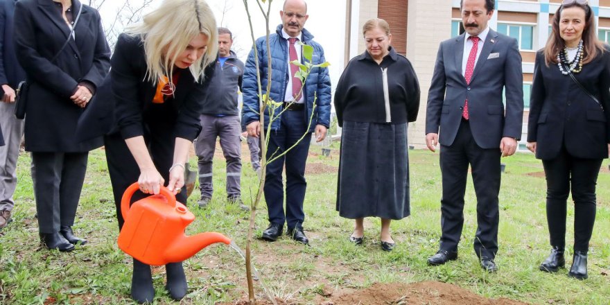 Akdeniz Üniversitesi'nden 5 bin fidan