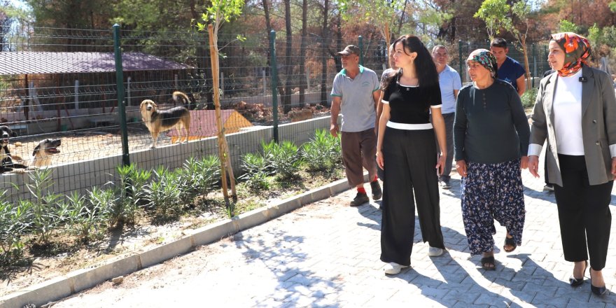 Yangından Kurtulan Kopi’ye Yeni Yuva