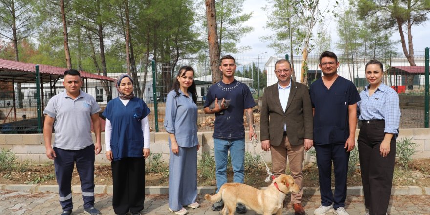 Yangından Kurtuldular, Yeni Yuvalarına Kavuştular