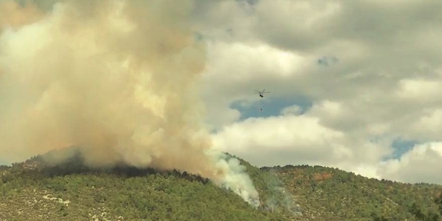 Manavgat’ta 6 hektar ormanlık alan yandı