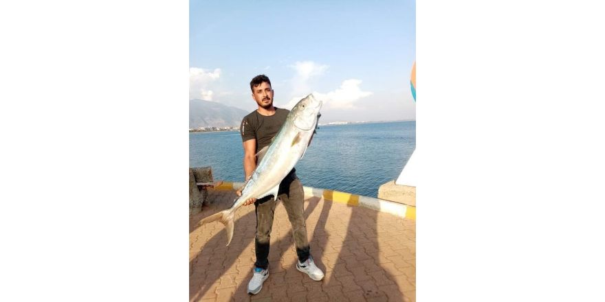 Kıyıdan 17 kiloluk kuzu balığı avladı