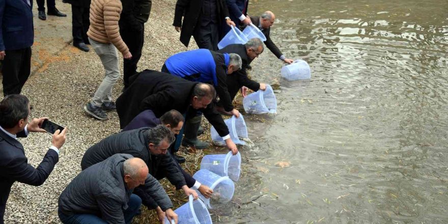 SAREM’de yetiştirilen bin 100 anaç yağ balığı, Seydişehir’de doğayla buluştu