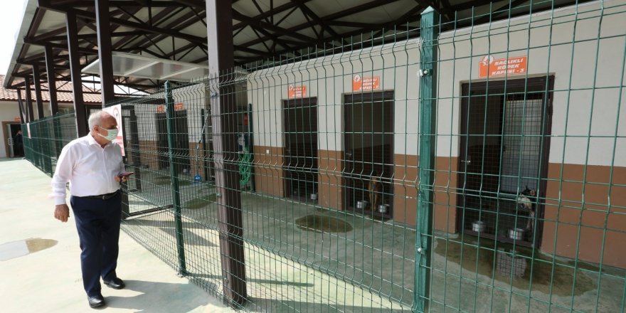 Sokak hayvanları rehabilitasyon merkezi örnek oluyor