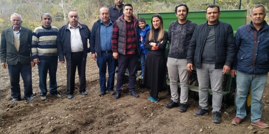 Erzin’de ata tohumu karakılçık buğdayı toprakla buluştu