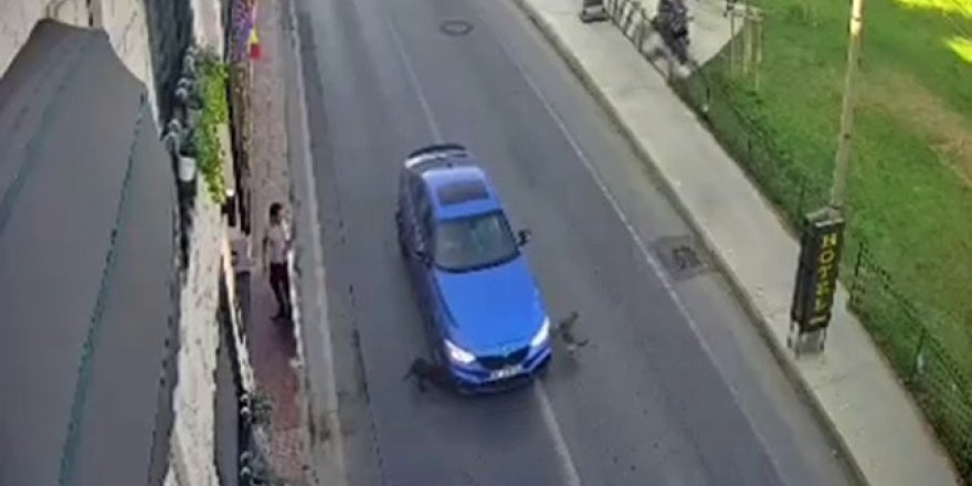 Bakırköy’de yolun karşısına geçmeye çalışan köpeklere otomobil böyle çarptı
