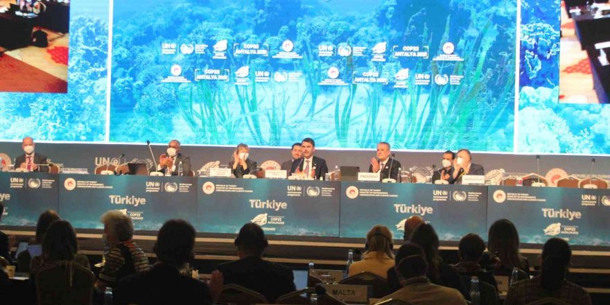 Bakan Kurum: "COP 22’de 17 karar müzakere edildi ve onaylandı"