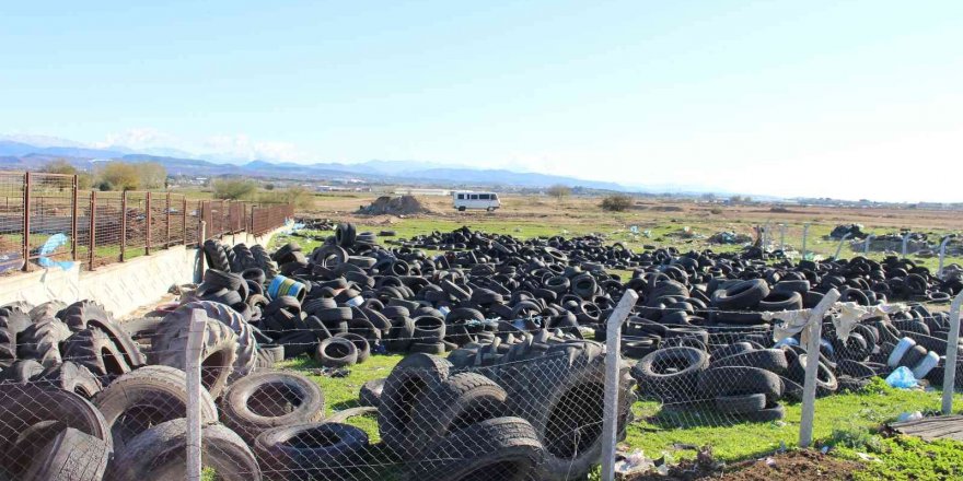 Kent genelinde vektörel mücadele