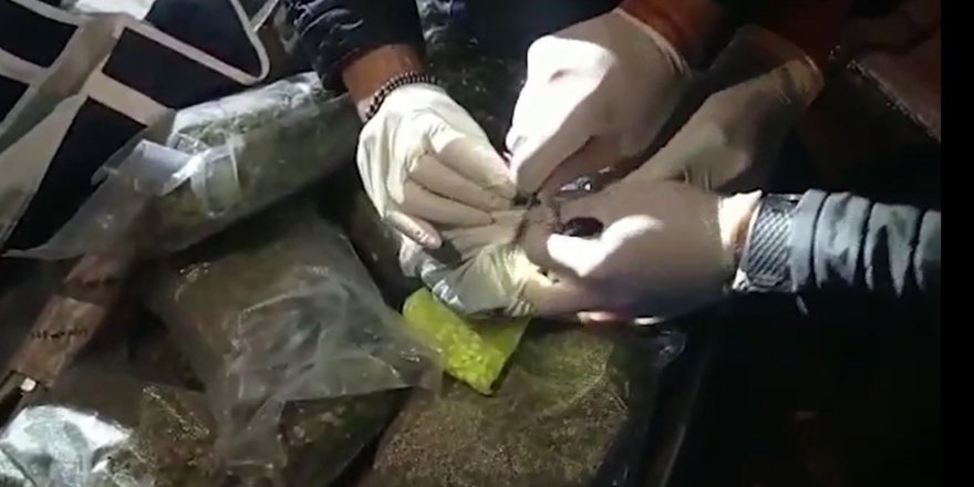 Antalya’da baskın yapılan depoda 19 kilo skunk maddesi ele geçirildi