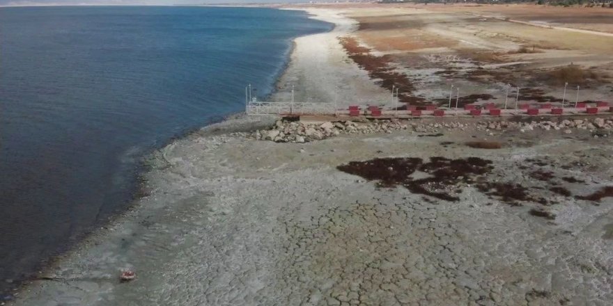 Nesli tükenmekte olan Dikkuyrukların kış durağı kuruyor