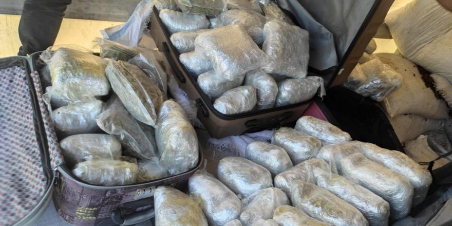 65 kilo esrar çıkan tırdaki iki şüpheli serbest bırakıldı