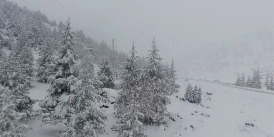 Beyaz gelinlikli orman drone ile görüntülendi