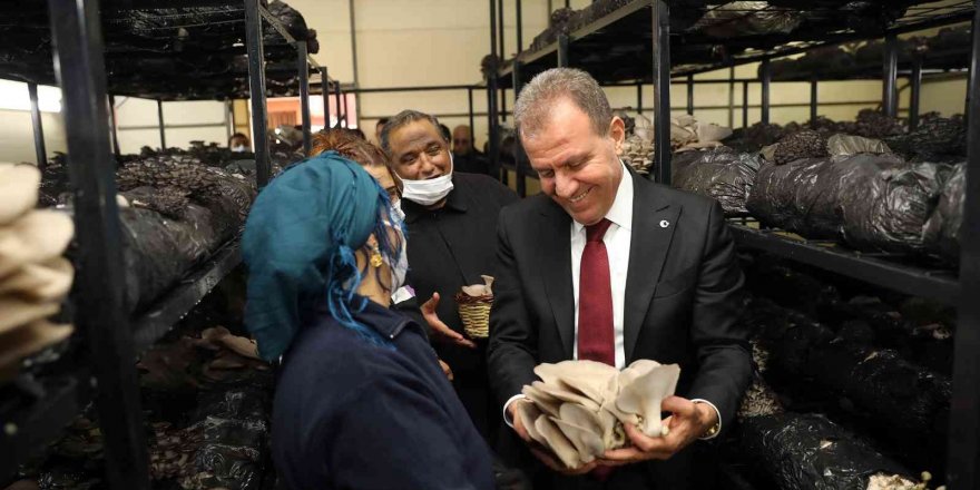 Roman aileler için kurulan mantar tesisinde ilk hasat yapıldı