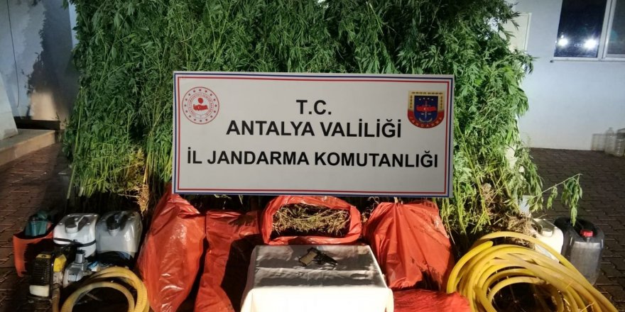 Antalya’da uyuşturucu tacirlerine darbe: 43 şüpheli tutuklandı