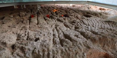 Doğu Garajı Nekropol Alanı müze oluyor