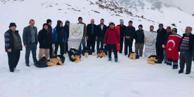 Berit Dağı’nda yaban hayvanlarına yem