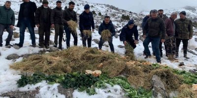 Karla kaplı dağlara yaban hayvanları için yem bıraktılar