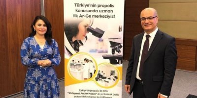 Dermatolog Kutlubay: “Arı zehri kırışıklıkları önlüyor”