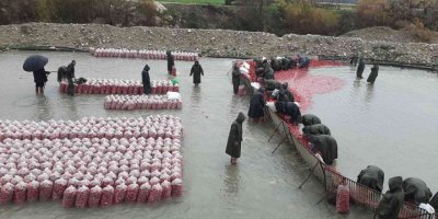 Yarım metre su içinde turp işçisi kadınların ekmek mücadelesi
