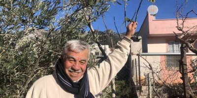 Asma ve ceviz ağacı kışın ortasında yaprak açtı