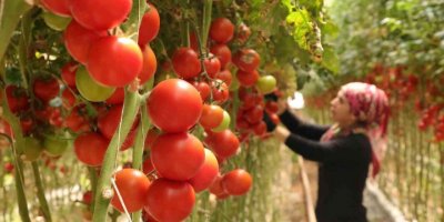 Burdur’da yayla seracılığında Türkiye birinciliği hedefi