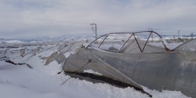 Kahramanmaraş’ta seralar karda zarar gördü