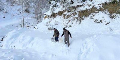 Karlı yollar yaban hayvanları için aşıldı