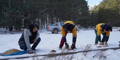 Isparta’da, kar altında doğada yaşayan hayvanlar unutulmadı