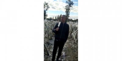 Adanalı üreticiye buz sarkıtı şoku