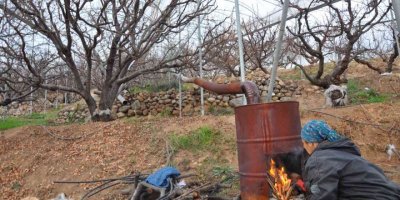Türkiye’nin en pahalı don nöbeti