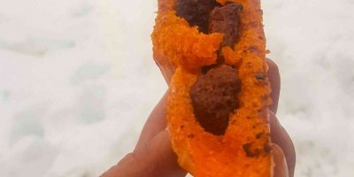 Kahramanmaraş’ta kamp ateşlerinin vazgeçilmez yiyeceği: irişkit