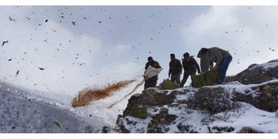 Adana’da yaban hayvanlarına yem desteği