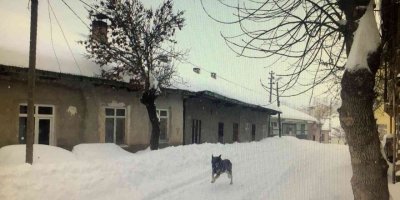Tufanbeyli Sibirya gibi, işçi servisi tipide yolda kaldı