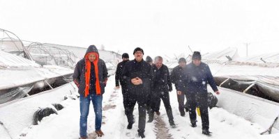 Başkan Güngör: "Seraları tekrar ayağa kaldıracağız"