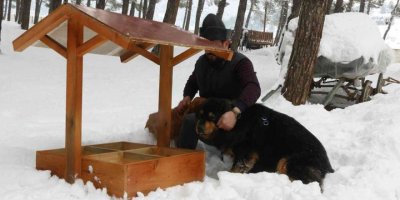 Kahramanmaraş’ta sokak hayvanlarına  onlarca yeni yuva