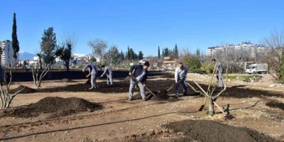 Ay Deresi’nde çevre düzenleme çalışması