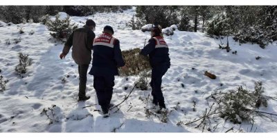 Jandarma yaban hayvanları unutmadı