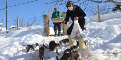 Dondurucu soğukta sokak hayvanları unutulmuyor