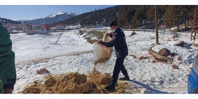 Jandarmadan yaban hayvanlarına yem