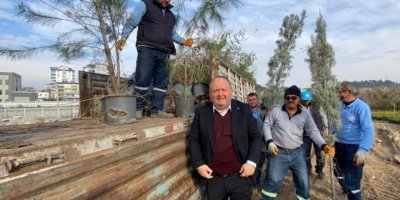 Devlet Bahçeli Hatıra Ormanı’na Başkan Tarhan’dan fidan desteği