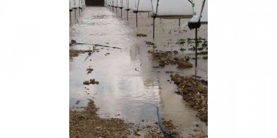 Taşan dereler, 55 dekar çilek serasını sular altında bıraktı