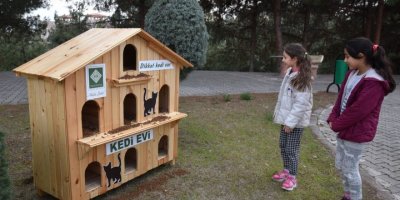 Soğuk kış günlerinde sokak kedilerine sıcak yuva
