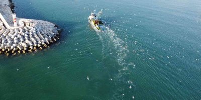 Balıkçılar denizde, martılar peşlerinde kısmetini arıyor