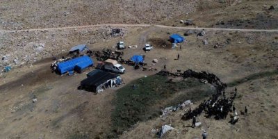 Konyaaltı, hayvancılıktaki uygulamalarıyla Türkiye’ye örnek oldu