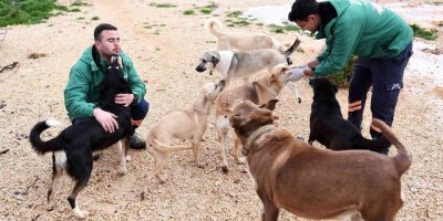 Mersin Büyükşehir Belediyesi gönüllü hayvanseverlerle ele ele