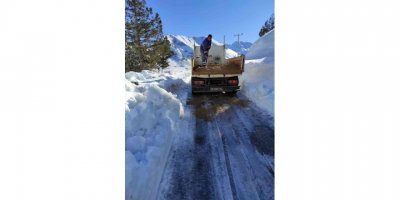 Gelesandra yolunda tuzlama çalışması