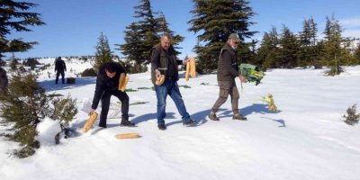 Mersin’de yaban hayvanları için doğaya 84 ton yem bırakıldı
