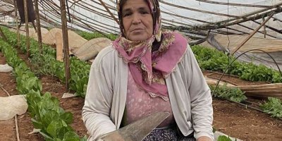 Aksu’da çıkan hortum 70 dekar ekili alana zarar verdi