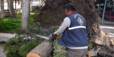 Osmaniye’de fırtına sonrası temizlik çalışmaları sürüyor