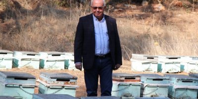 İklim krizi arıları da vurdu