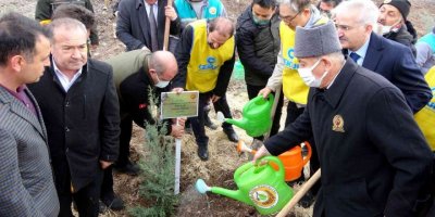 Osmaniye’de Güney Kore-Türkiye Dostluk Ormanı kuruldu